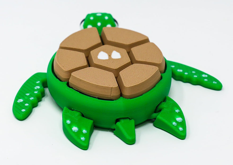 Fruit Turtle Fidget Clicker Keychain 3D Printed - Sensory Stress Relief Toy for Autism, ADHD, Anxiety, and Fidgeting (Kiwi Turtle)